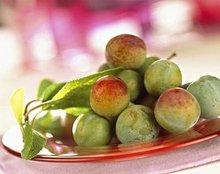 169种淡水鱼名称和图片，淡水鱼有哪些品种（浙江省舟山市概况）