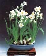 169种淡水鱼名称和图片，淡水鱼有哪些品种（浙江省舟山市概况）