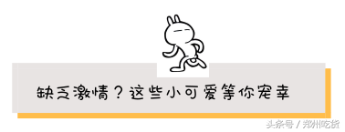 兔斯基电脑桌面主题，兔斯基桌面主题（10月20日还将迎来河南首展兔斯基）