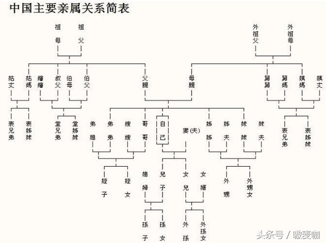 史上最全亲戚关系图表，建议收藏