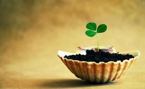 人生应该做哪些有意义的事，人生可以做哪些有意义的事（人生最有意义的三件事）