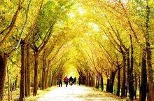 江苏省邳州市属于哪个市，江苏省邳州市属于哪个市-（中国百强县<县级市>）