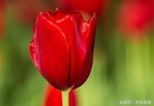 含有昆虫名称的四字词语有哪些，含有昆虫名称的四字成语（史上最全成语分类集锦）