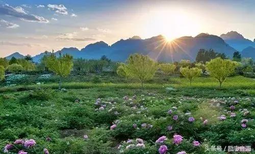 含有昆虫名称的四字词语有哪些，含有昆虫名称的四字成语（史上最全成语分类集锦）