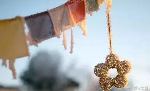 含有昆虫名称的四字词语有哪些，含有昆虫名称的四字成语（史上最全成语分类集锦）