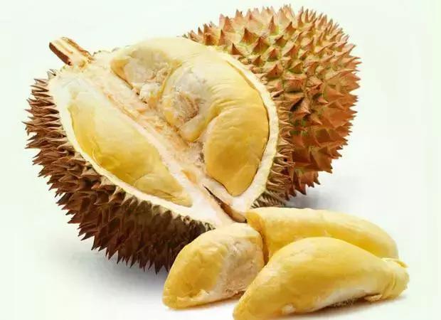 关于d24榴莲，D203榴莲（为什么有人闻榴莲觉得臭）