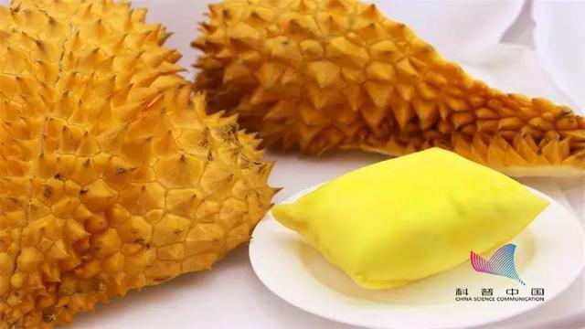 关于d24榴莲，D203榴莲（为什么有人闻榴莲觉得臭）