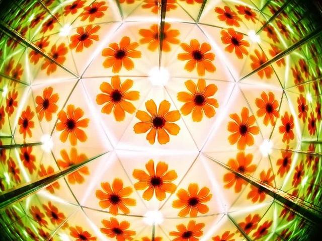 万花筒怎么制作，怎么制作万花筒（10分钟 镜头巧变万花筒）