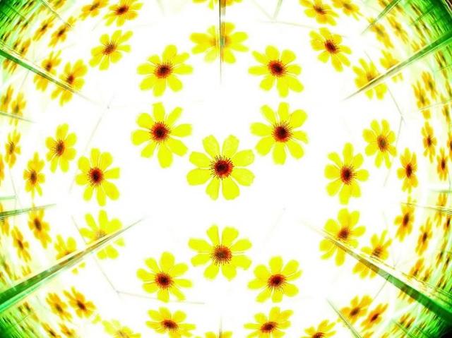 万花筒怎么制作，怎么制作万花筒（10分钟 镜头巧变万花筒）