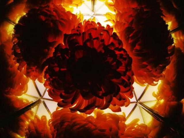 万花筒怎么制作，怎么制作万花筒（10分钟 镜头巧变万花筒）