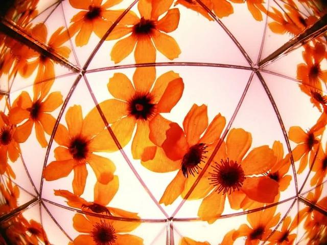 万花筒怎么制作，怎么制作万花筒（10分钟 镜头巧变万花筒）