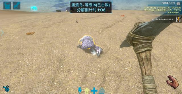 手机方舟钓鱼怎么钓，方舟怎么钓鱼（生存进化》新手必备生存指南）