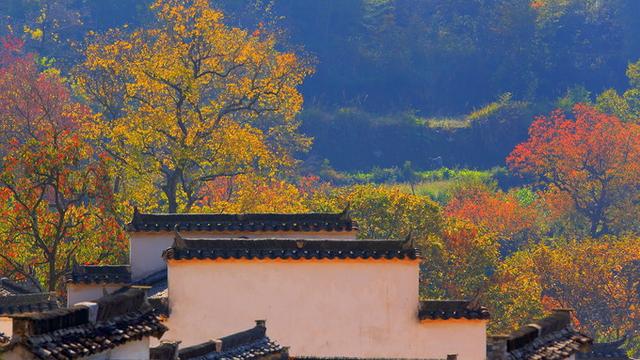 徽杭古道徒步攻略，皖南徒步最佳路线（徒步安徽皖南十大古道）