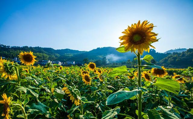 徽杭古道徒步攻略，皖南徒步最佳路线（徒步安徽皖南十大古道）
