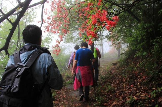 徽杭古道徒步攻略，皖南徒步最佳路线（徒步安徽皖南十大古道）