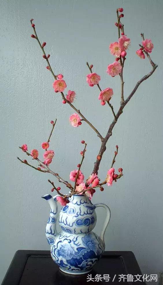 花中四君子指的是哪四种花，花中四君子指的是（花中四君子）