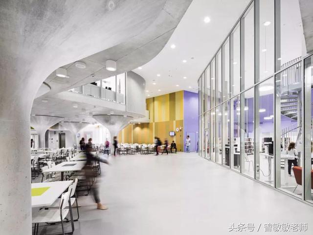 作业最少的国家，高空作业费的标准是什么啊（芬兰教育到底是怎么霸占全球第一的）