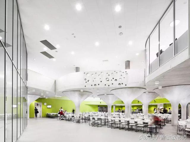 作业最少的国家，高空作业费的标准是什么啊（芬兰教育到底是怎么霸占全球第一的）