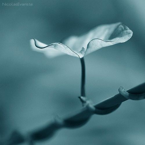 不期而遇的唯美句子，爱情的句子唯美短句（不期而遇）