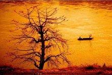 攀枝花属于哪个省份，攀枝花属于哪个省份城市（四川省攀枝花市概况）