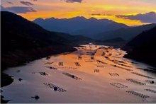 攀枝花属于哪个省份，攀枝花属于哪个省份城市（四川省攀枝花市概况）