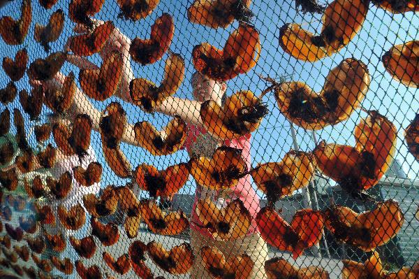 淡菜是什么，淡菜的功效与作用（知道“淡菜”是什么菜吗）