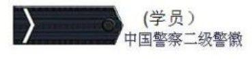 警察级别区分肩章图解，警察肩章的等级区分（警校师兄教你弄清楚警衔和警察对应的级别）