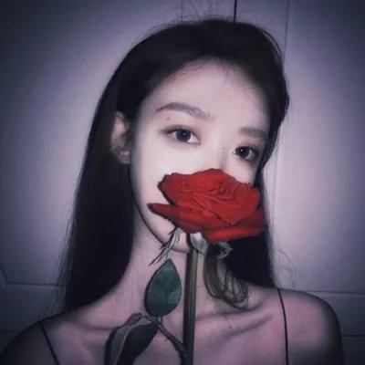 仄言微信昵称（长情不仄言）网名，仄言微信昵称（长情不仄言）微信昵称（抖音最近超火的网名及含义）