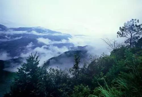 铁犁铧怎么读,中国出现带铁犁铧的犁是在公元前哪一年(唐新朝:中村记) 铁犁铧怎么读,中国出现带铁犁铧的犁是在公元前哪一年(唐新朝:中村记)
