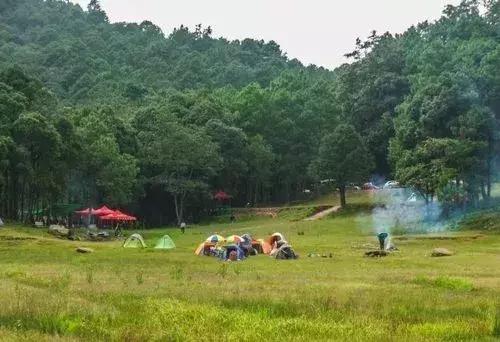 铁犁铧怎么读,中国出现带铁犁铧的犁是在公元前哪一年(唐新朝:中村记) 铁犁铧怎么读,中国出现带铁犁铧的犁是在公元前哪一年(唐新朝:中村记)