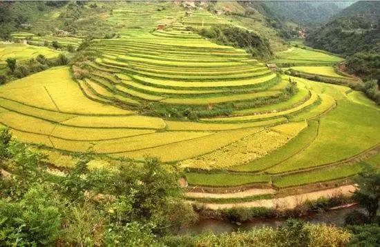 铁犁铧怎么读,中国出现带铁犁铧的犁是在公元前哪一年(唐新朝:中村记) 铁犁铧怎么读,中国出现带铁犁铧的犁是在公元前哪一年(唐新朝:中村记)