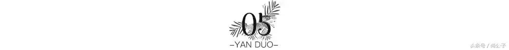 yangkeduo(拼多多6190版本)