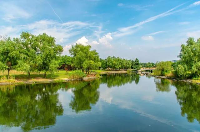 上海杉达学院怎么样，排名好不好（沪上这24所高校的靓丽“水景”）