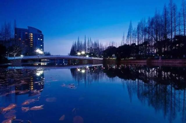 上海杉达学院怎么样，排名好不好（沪上这24所高校的靓丽“水景”）