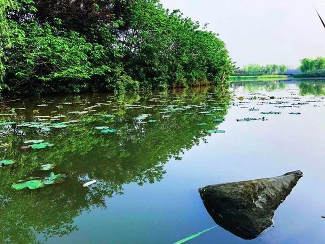 上海杉达学院怎么样，排名好不好（沪上这24所高校的靓丽“水景”）