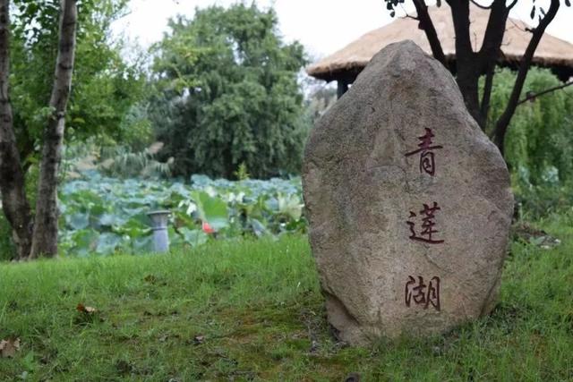 上海杉达学院怎么样，排名好不好（沪上这24所高校的靓丽“水景”）