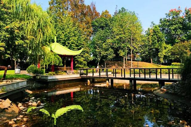 上海杉达学院怎么样，排名好不好（沪上这24所高校的靓丽“水景”）