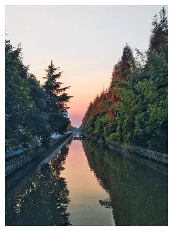 上海杉达学院怎么样，排名好不好（沪上这24所高校的靓丽“水景”）