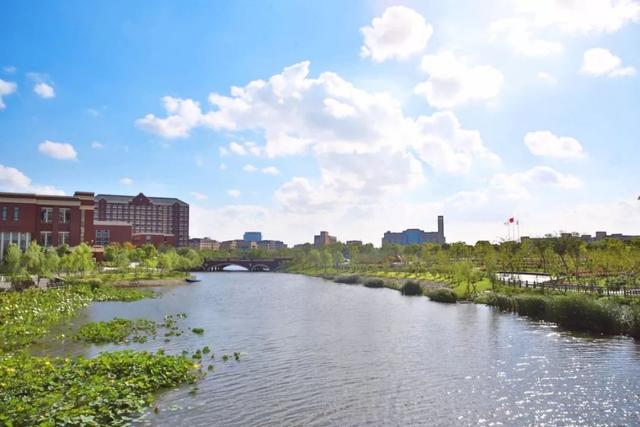 上海杉达学院怎么样，排名好不好（沪上这24所高校的靓丽“水景”）