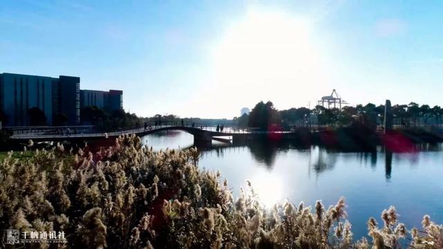 上海杉达学院怎么样，排名好不好（沪上这24所高校的靓丽“水景”）