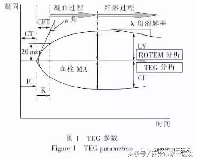 凝血是什么意思，血凝是什么意思（我的凝血全貌）