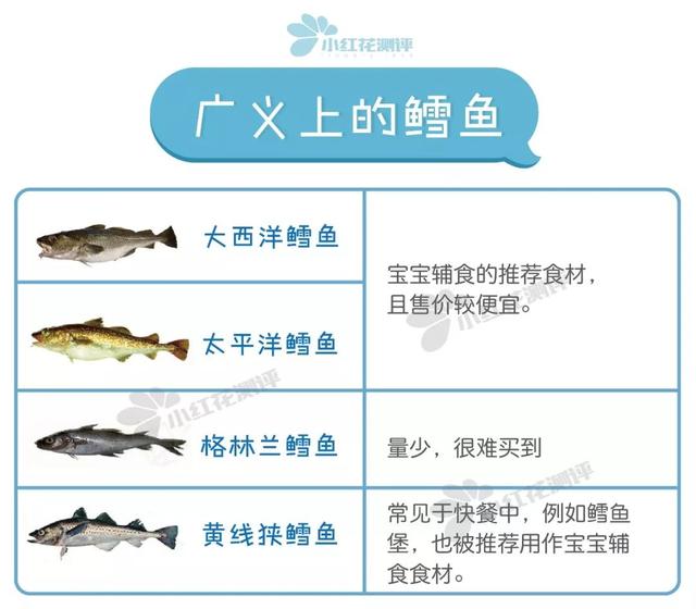 油鱼和鳕鱼的区别，油鱼和鳕鱼的区别在哪些方面（银鳕鱼、鳕鱼对比测评）