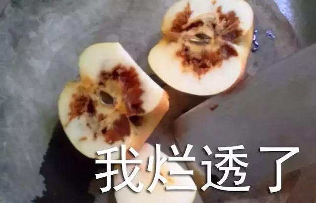 这表情，绝了，这表情绝了是什么生肖（这表情包绝了！图片）