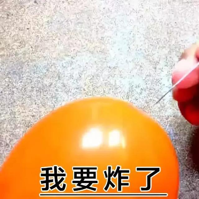 这表情，绝了，这表情绝了是什么生肖（这表情包绝了！图片）