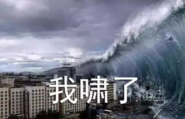 这表情，绝了，这表情绝了是什么生肖（这表情包绝了！图片）