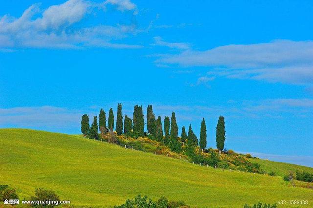 作文《我》介绍自己，介绍我自己（优秀作文：自我介绍）
