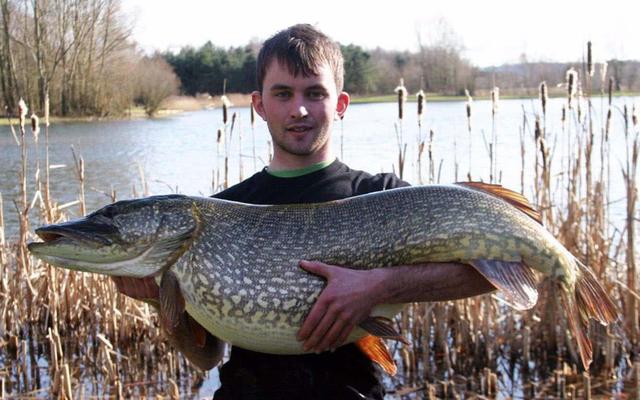 鱼的寿命会有几年呢，鱼的寿命多少年（鱼的寿命是多久）