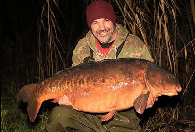 鱼的寿命会有几年呢，鱼的寿命多少年（鱼的寿命是多久）