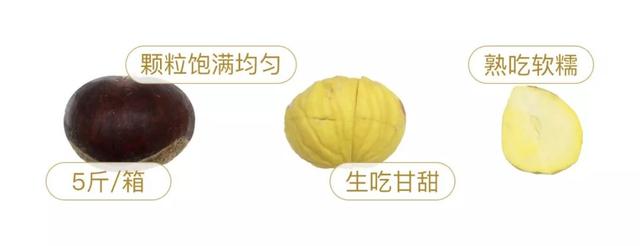  生板栗怎么做好吃，生板栗怎么煮才好吃（吃了160颗新鲜栗子） 