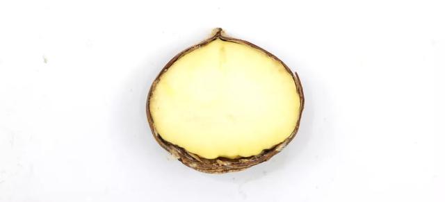  生板栗怎么做好吃，生板栗怎么煮才好吃（吃了160颗新鲜栗子） 